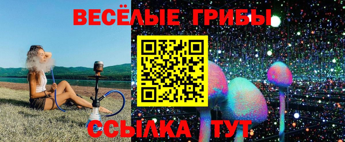 Уварово  Псилоцибиновые грибы MAGIC MUSHROOMS  Вход с VPN 